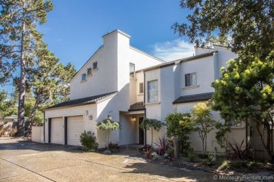 Forest Oasis - North Of Ocean Ave - Carmel Ca